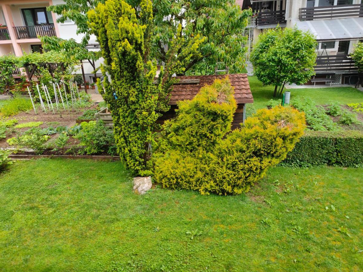 Rooms And Apartment Na Poljani Škofja Loka Екстериор снимка